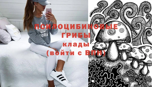 гидра Белокуриха