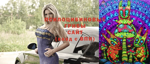 гидра Белокуриха