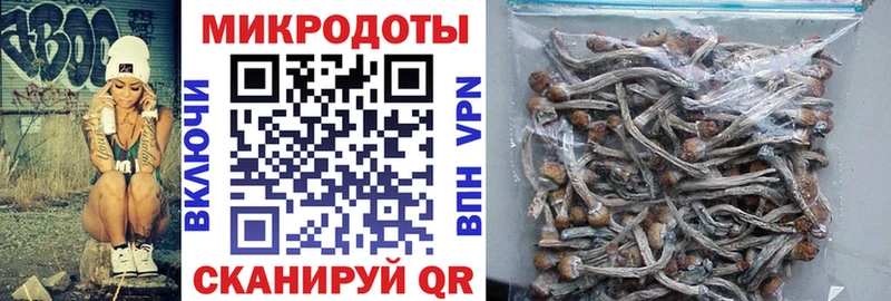 купить   Билибино  Псилоцибиновые грибы GOLDEN TEACHER 