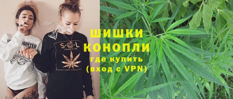 Конопля SATIVA & INDICA  где купить наркоту  Билибино 